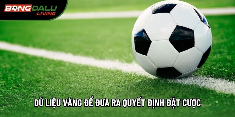 Dữ liệu vàng để đưa ra quyết định đặt cược Dữ liệu vàng để đưa ra quyết định đặt cược